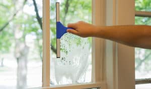 How To Start A Window Cleaning Business